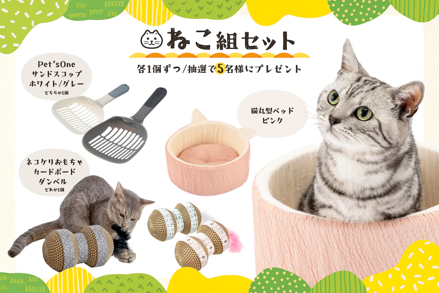 ねこ組セット