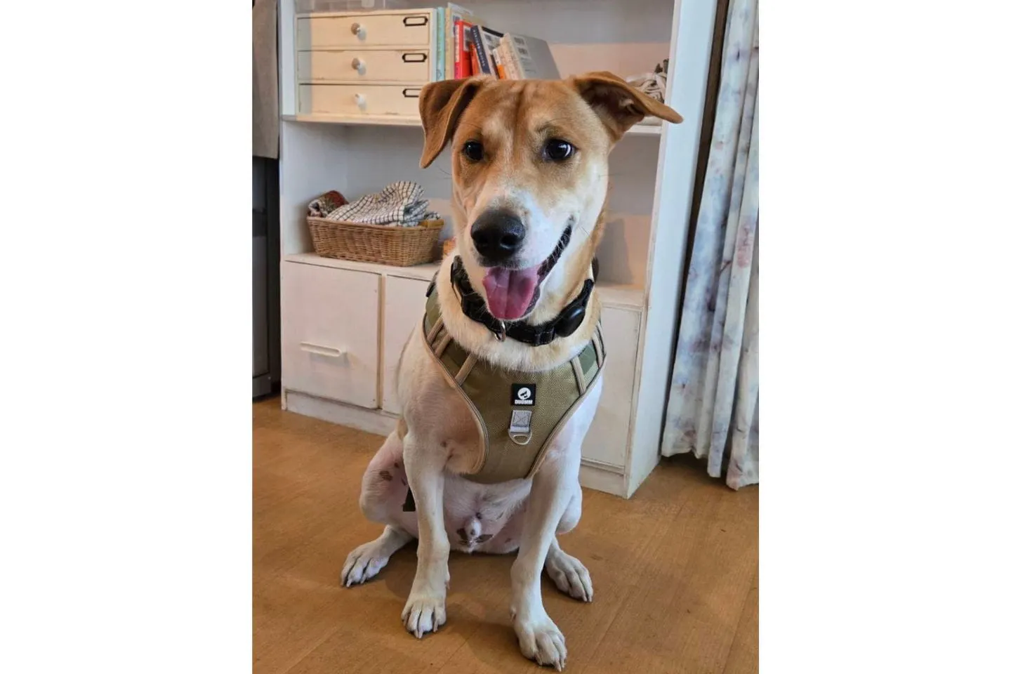 おすわりするプニプニ