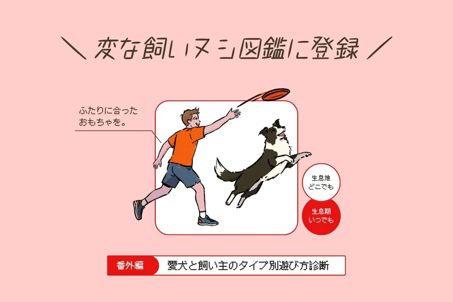 あなたはどのタイプ？ 愛犬と飼い主のタイプ別 遊び方診断