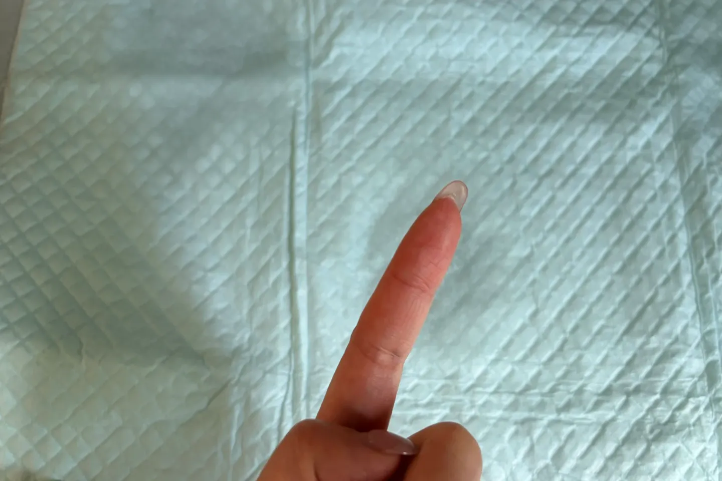 吸収後に指が濡れていないペットシーツの吸水テスト結果