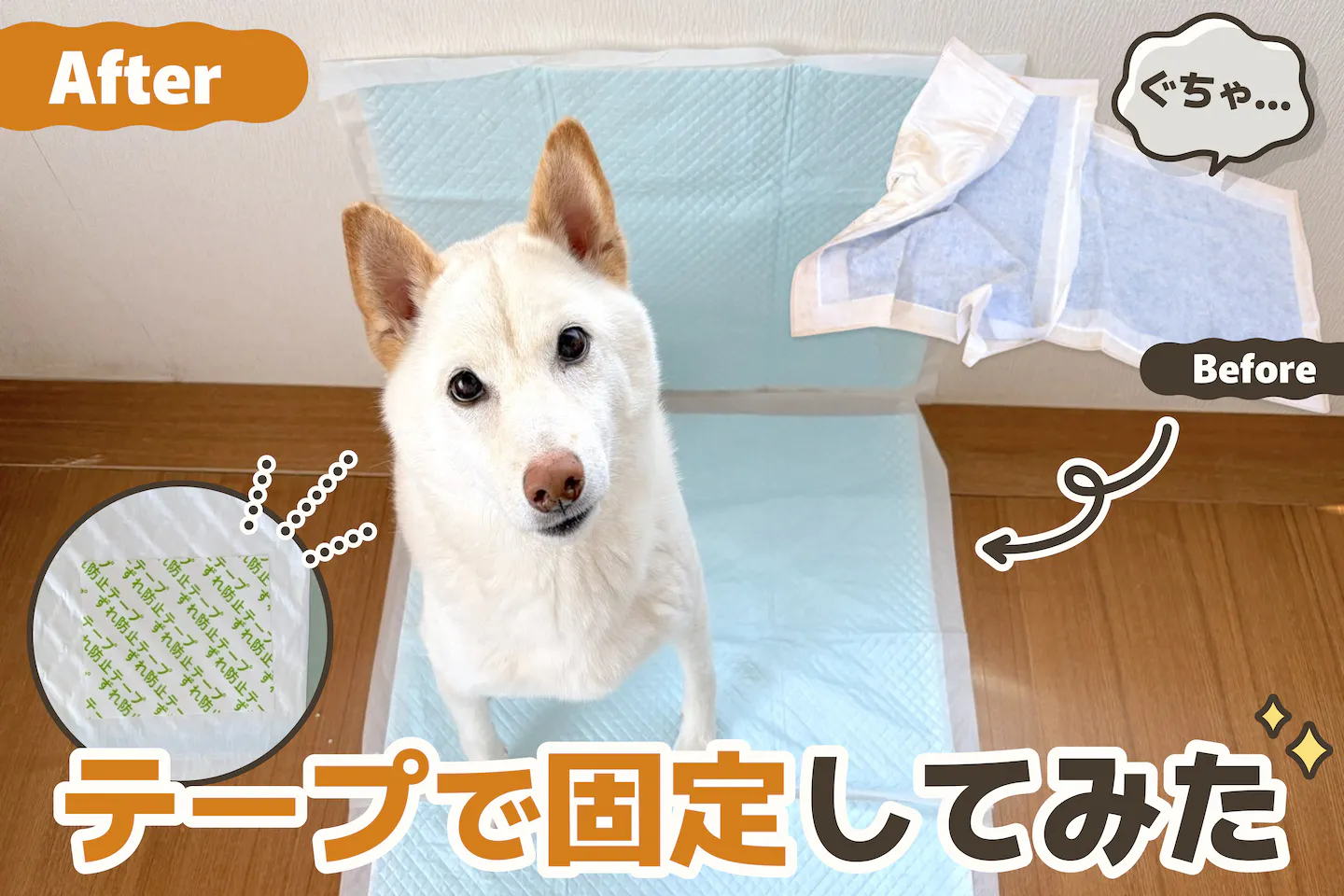 愛犬のペットシーツがぐちゃぐちゃに…なぜずれる？ テープで固定してみた