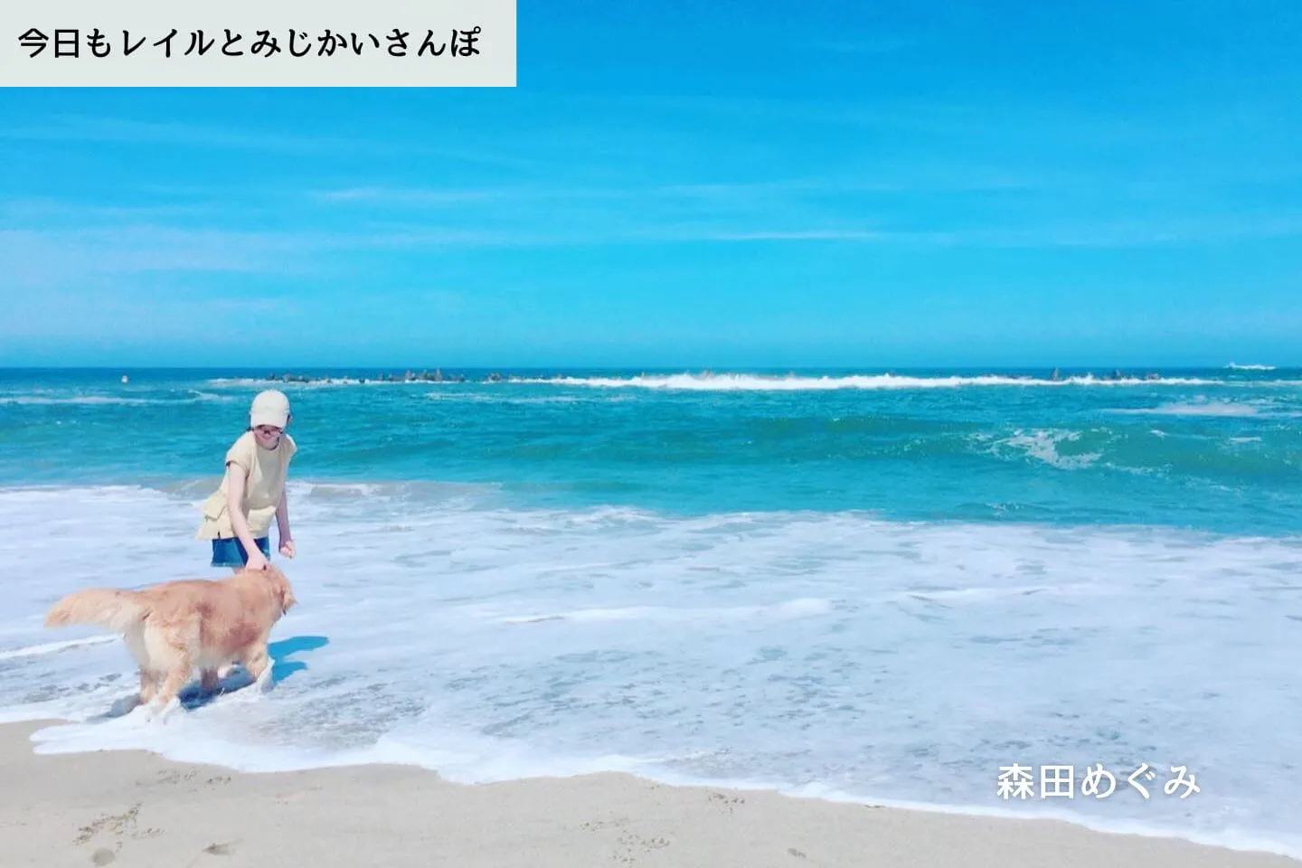 【連載】雨の譲渡会で出会った「プニプニ」という運命｜森田めぐみ｜今日もレイルとみじかいさんぽ