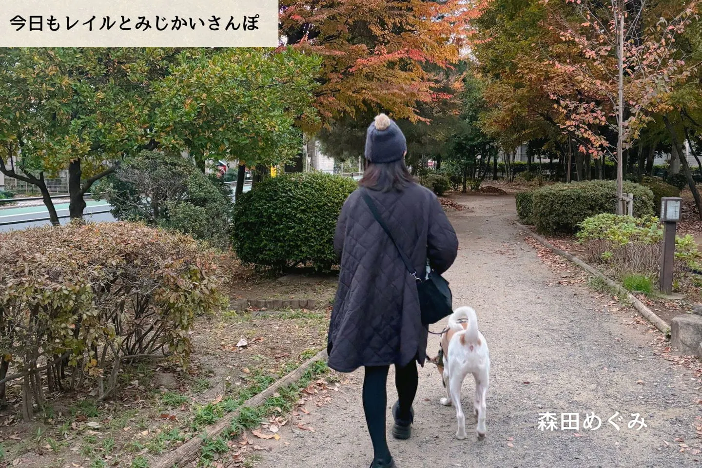 【連載】預かり犬・プニプニがやってきた日。私が迷った「ひとつの問い」｜森田めぐみ｜今日もレイルとみじかいさんぽ