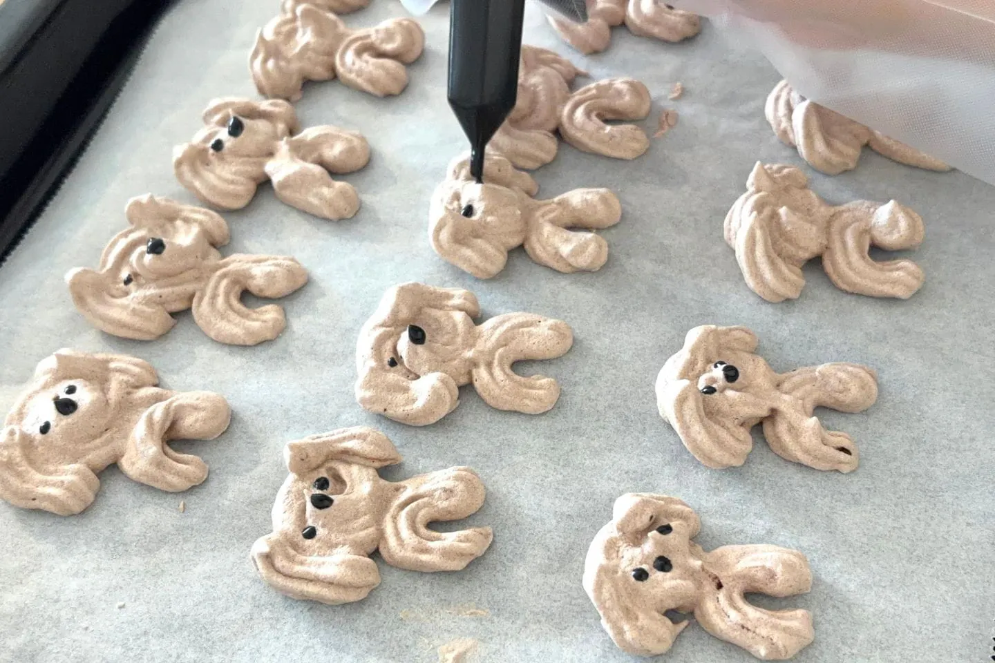 トイプードルの顔を作る