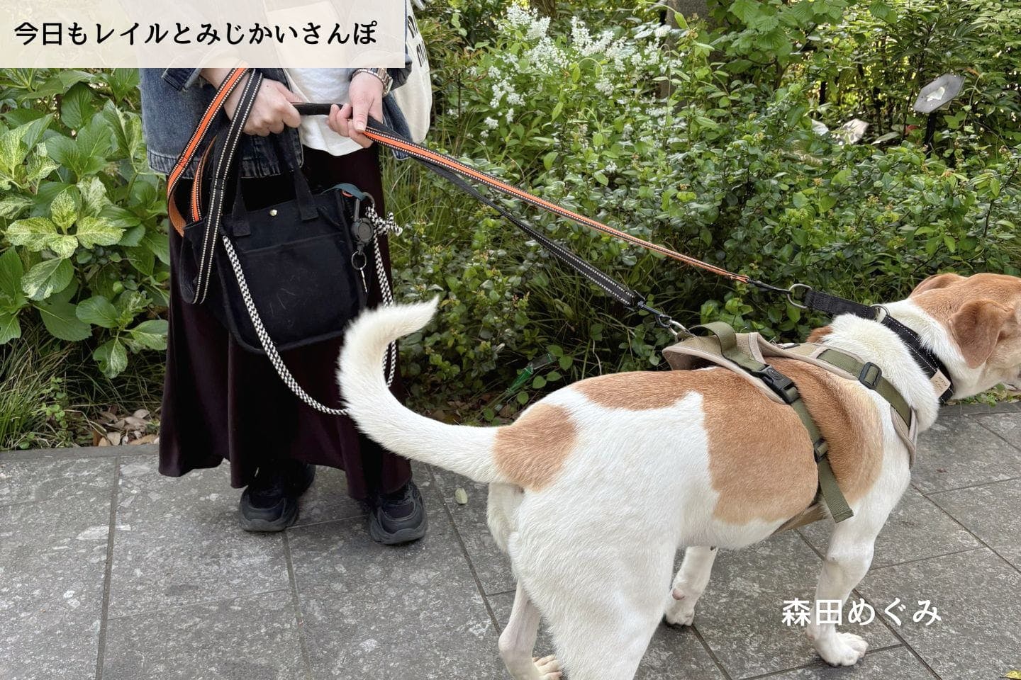 連載】ただ歩くだけが難しい。散歩の奥深さ｜森田めぐみ｜今日もレイル