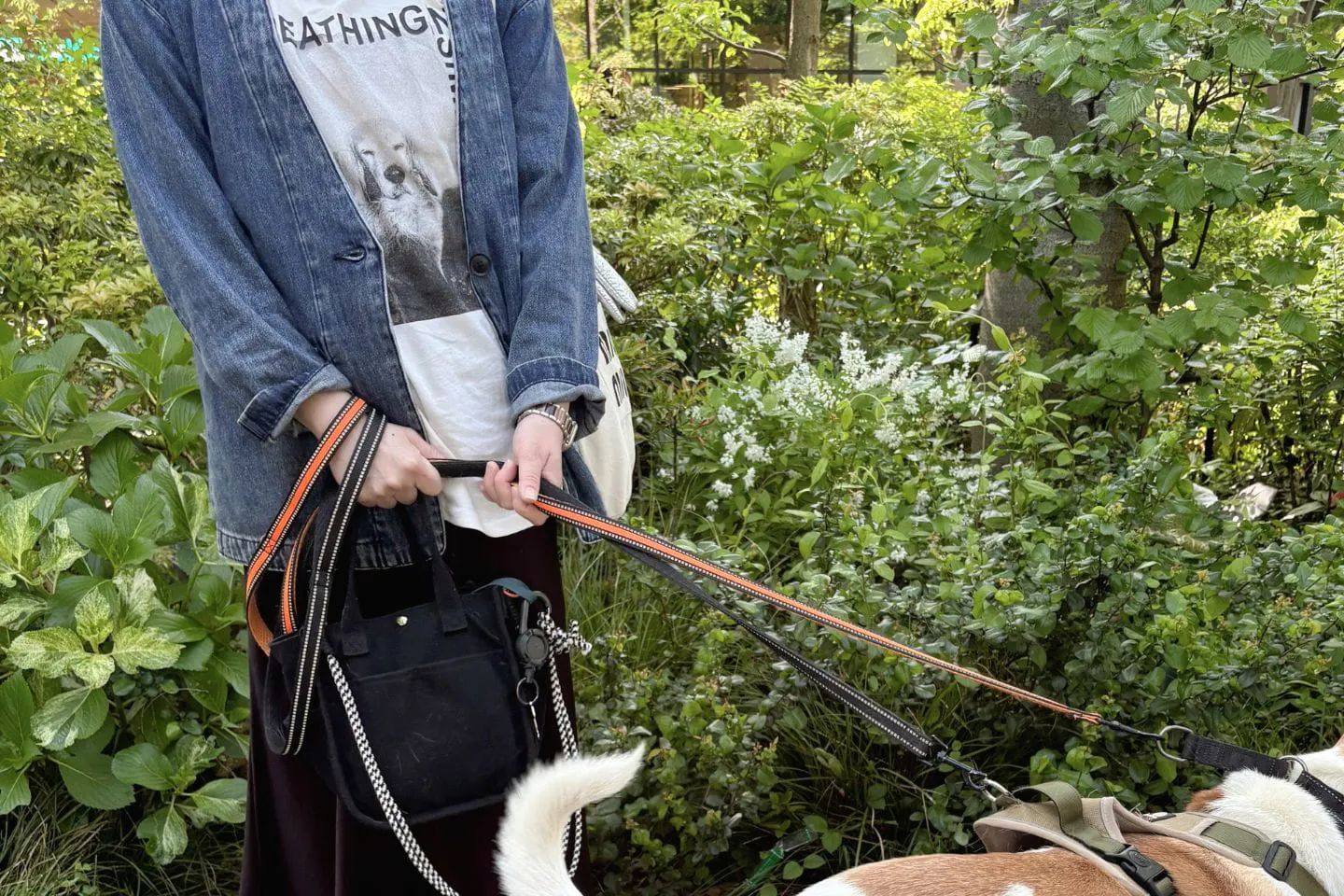 犬Tシャツを着ている女性 犬Tシャツを着ている女性
