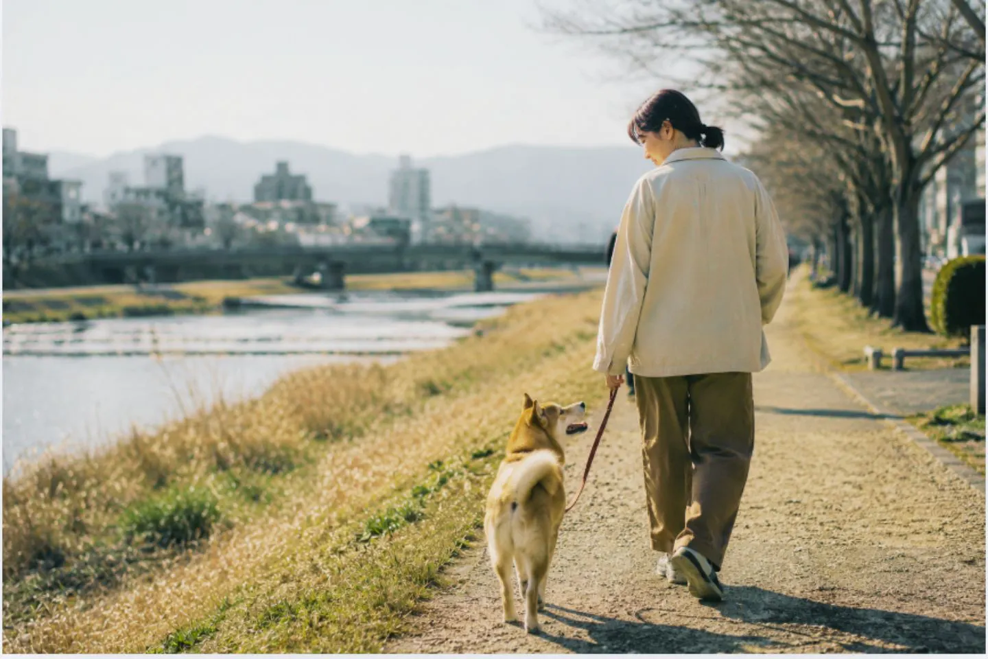 「犬が愛おしい」のはなぜ? 太古から続く、犬と人間の特別な関係の秘密