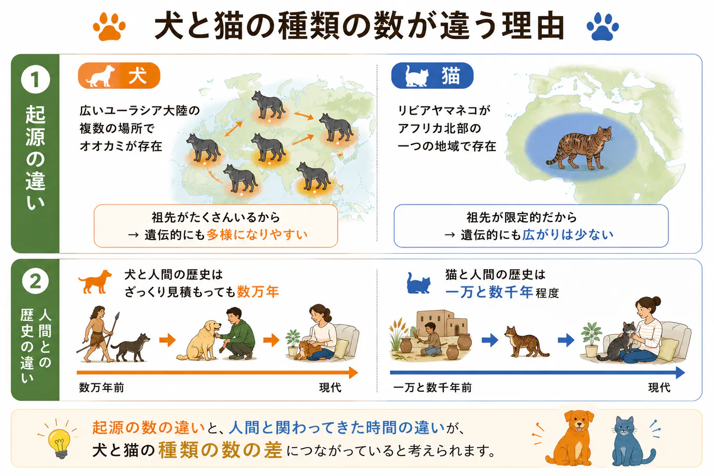 犬と猫の種類数の違いを解説した図解イラスト 犬と猫の種類数の違いを解説した図解イラスト