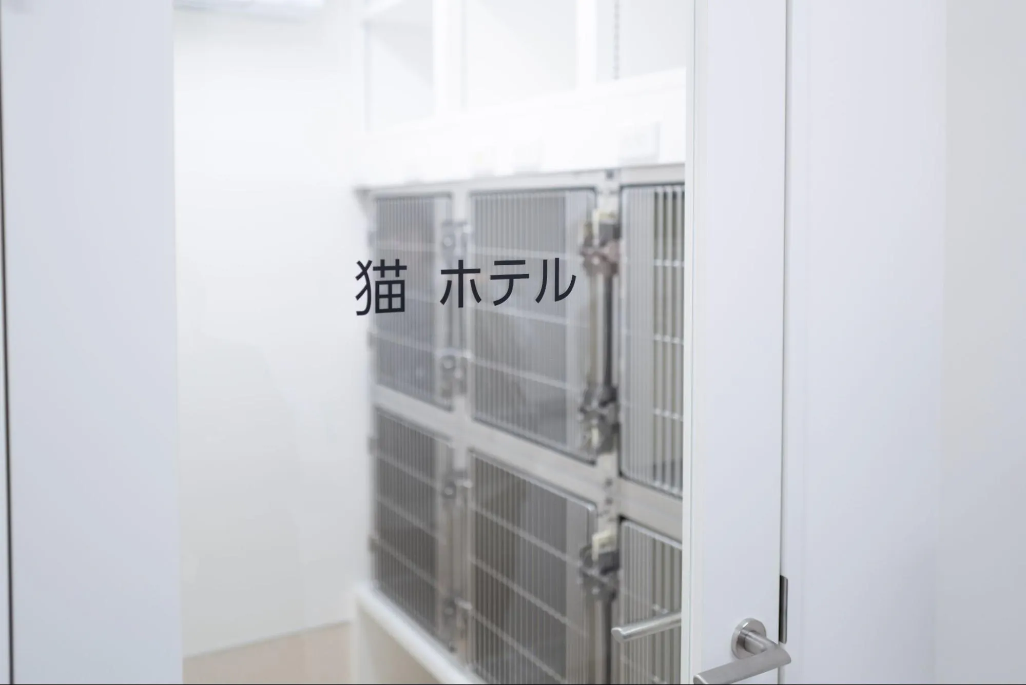 ハグウェル動物総合病院吉川美南院の猫ホテル