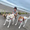 鳩村加奈子（ライター）