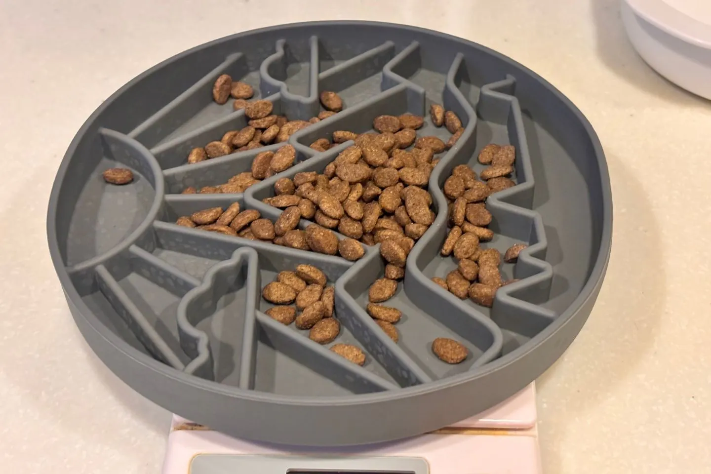 ドッグフードを入れた犬用早食い防止マット