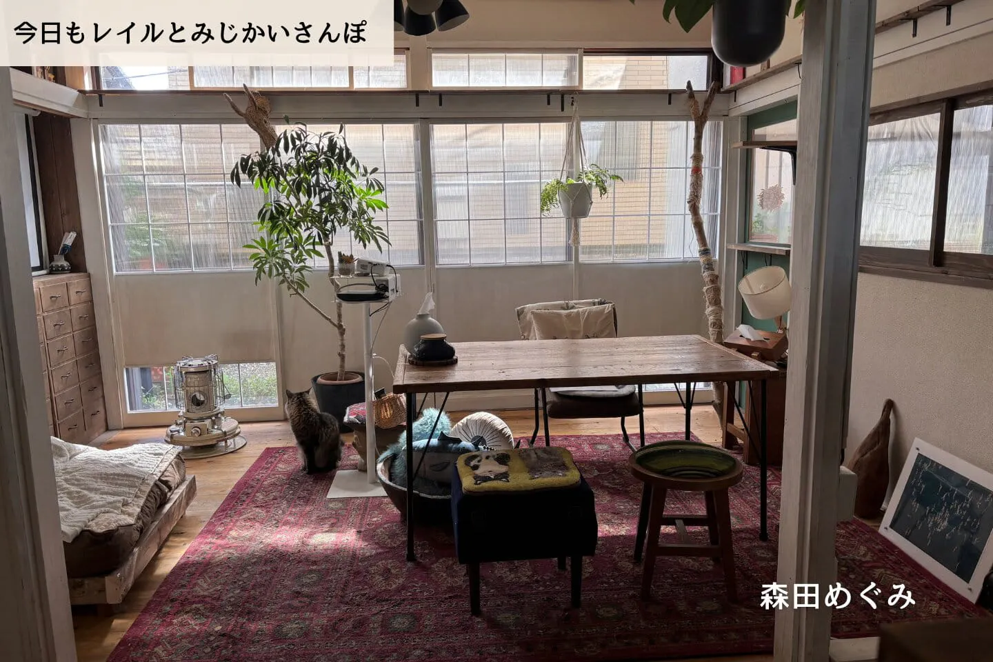 【連載】犬を迎える準備と、名付け会議と。｜森田めぐみ｜今日もレイルとみじかいさんぽ