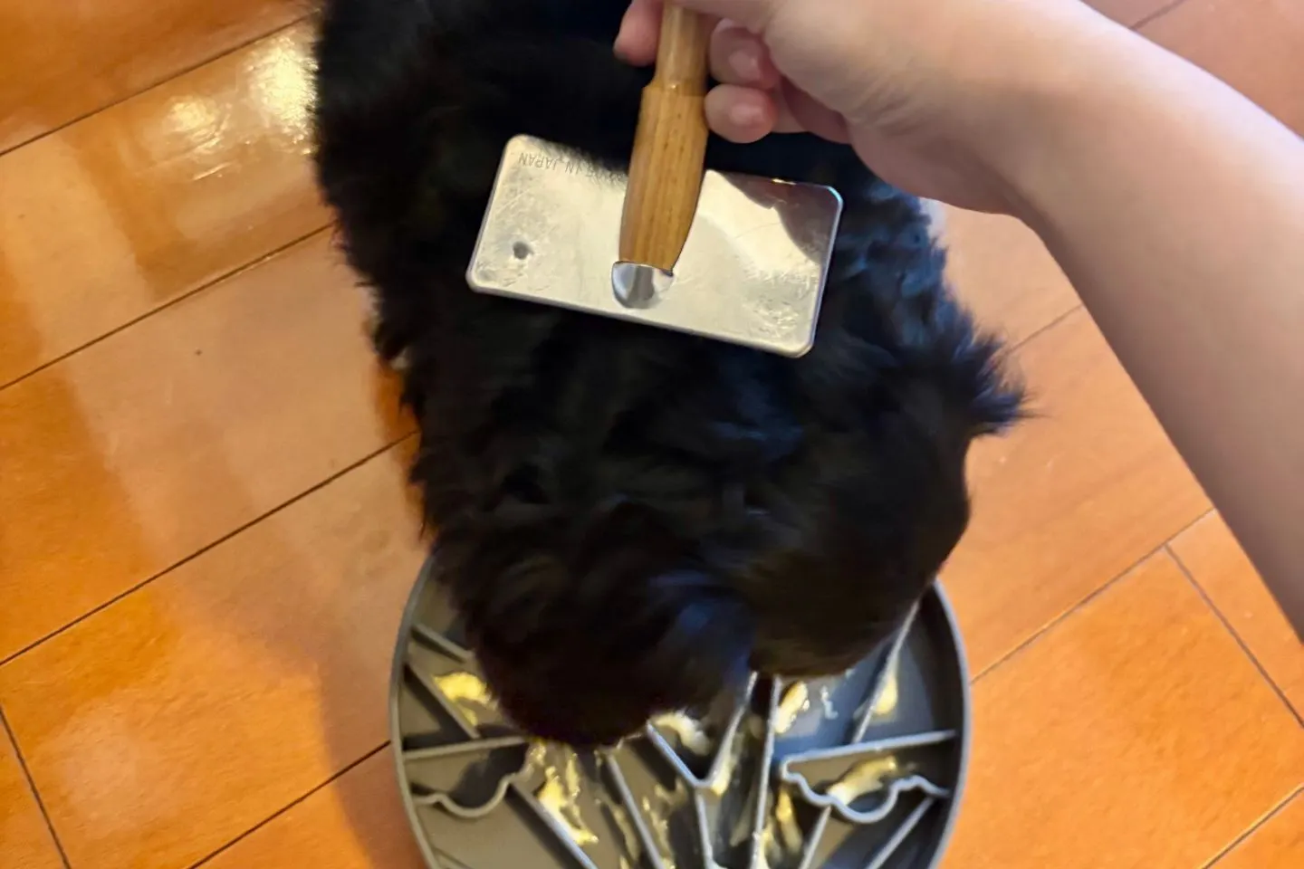 早食い防止マットを使いながら犬をブラッシングする様子
