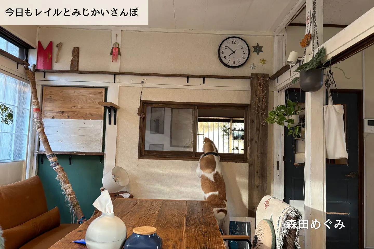 【連載】ウォンカがやって来た！｜森田めぐみ｜今日もレイルとみじかいさんぽ