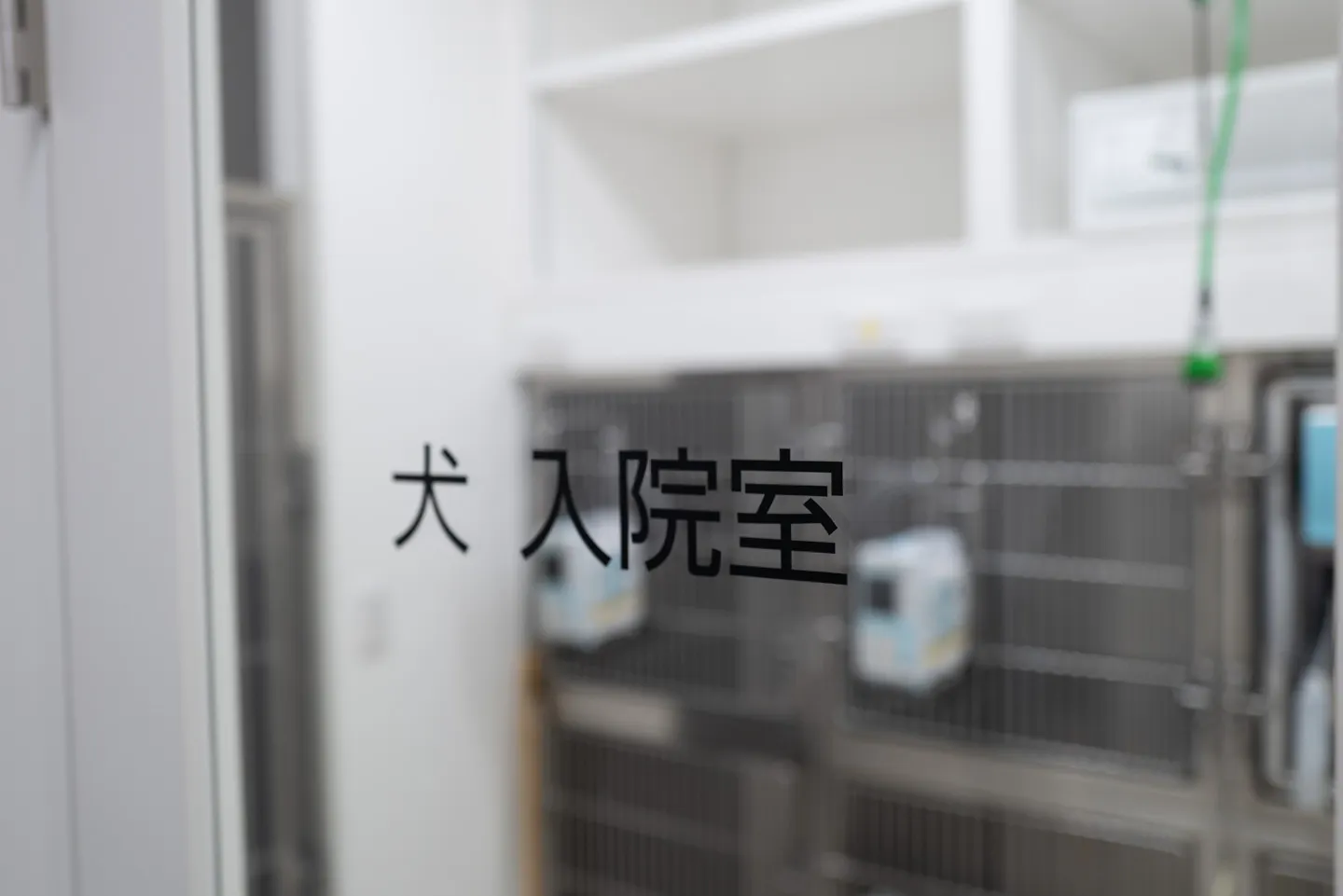 ハグウェル動物総合病院吉川美南院の猫ホテル