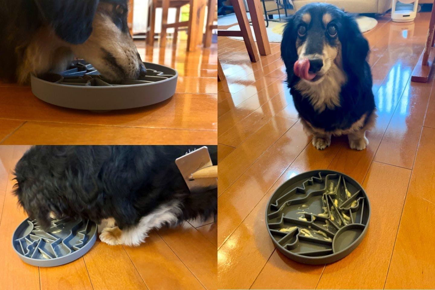犬服収納】カラーボックスで作る愛犬用クローゼット！簡単＆オシャレな