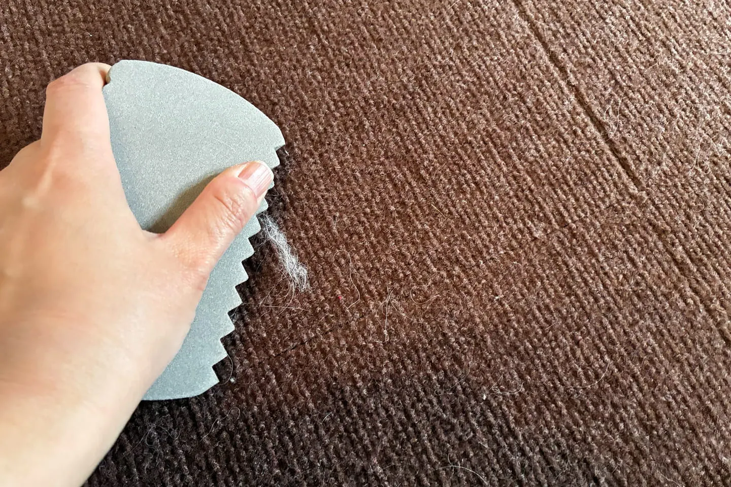 スポンジでどれだけ毛が取れる