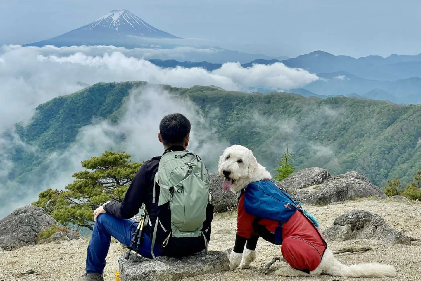 愛犬が8歳になって、ようやく気づいた。大切だったのは「どこへ行くか」より「どう過ごすか」