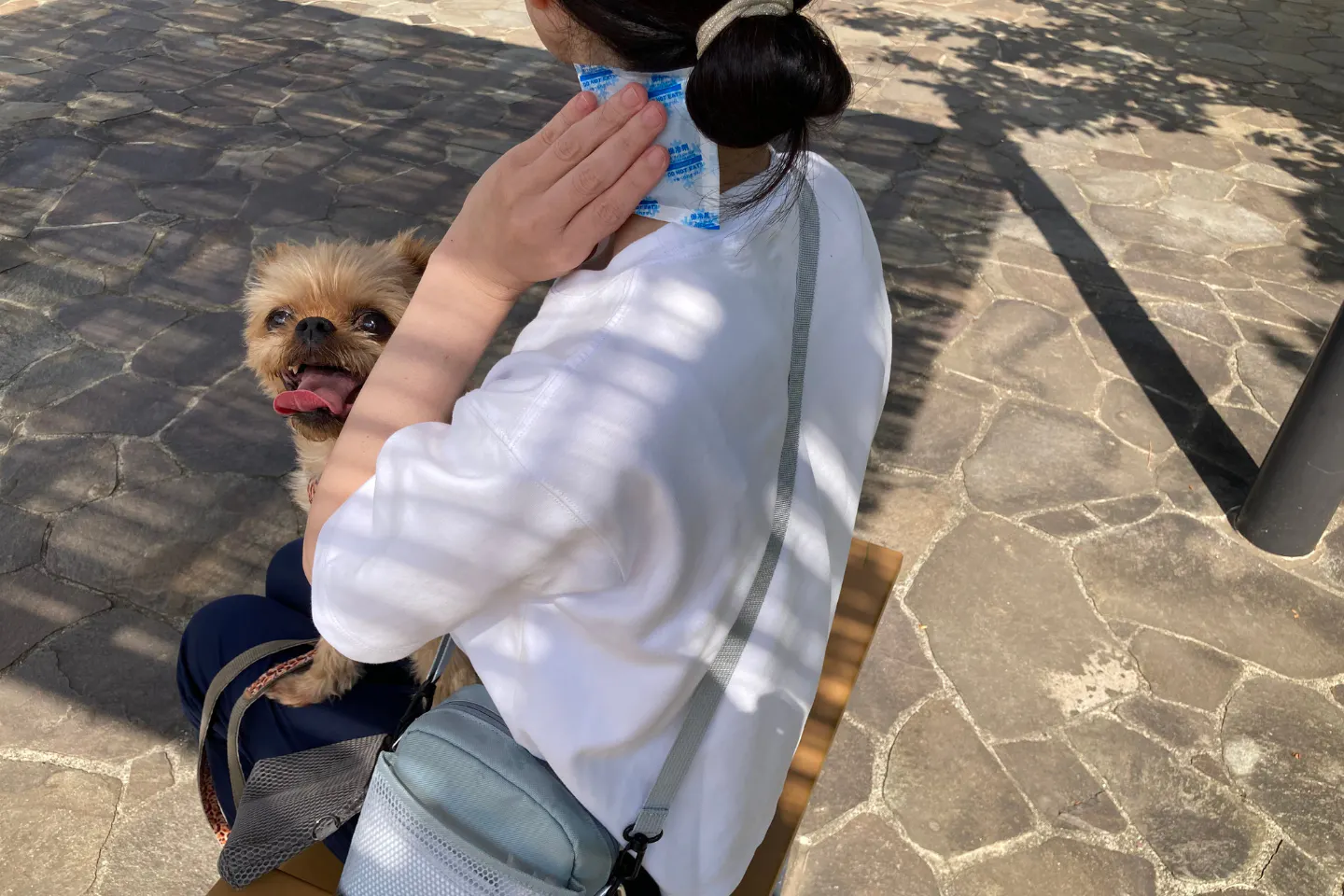 保冷剤で首元を冷やしながら休憩する飼い主と愛犬