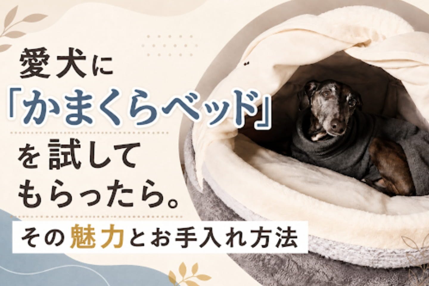 犬とくらし | ワンクォール
