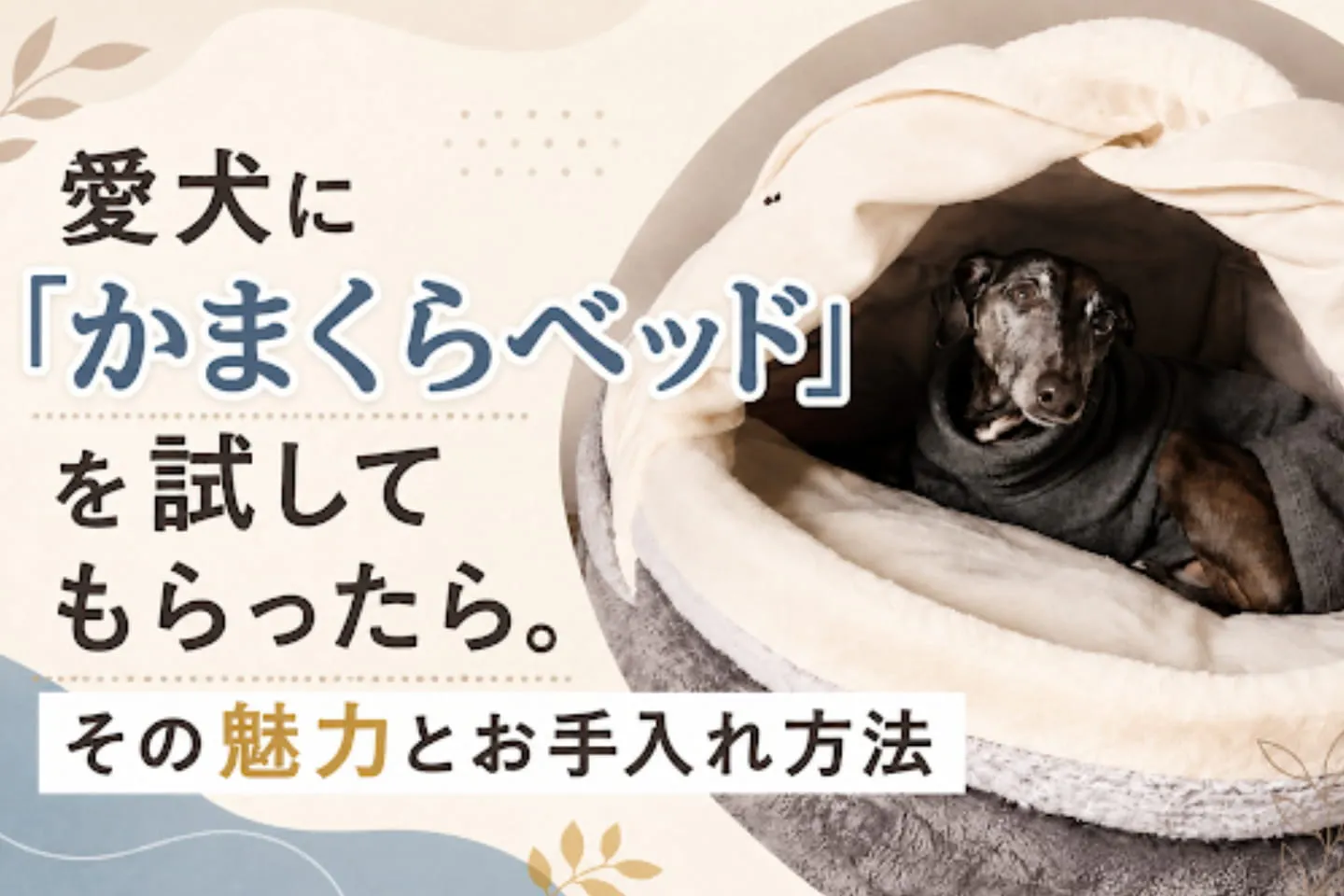 愛犬に「かまくらベッド」を試してもらったら。その魅力とお手入れ方法