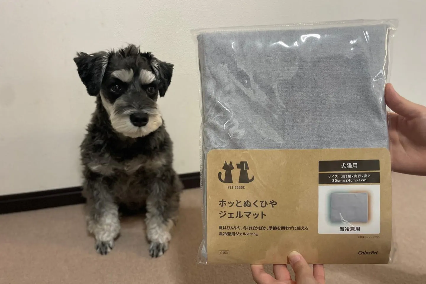 「なんだ、食べ物じゃないのか」