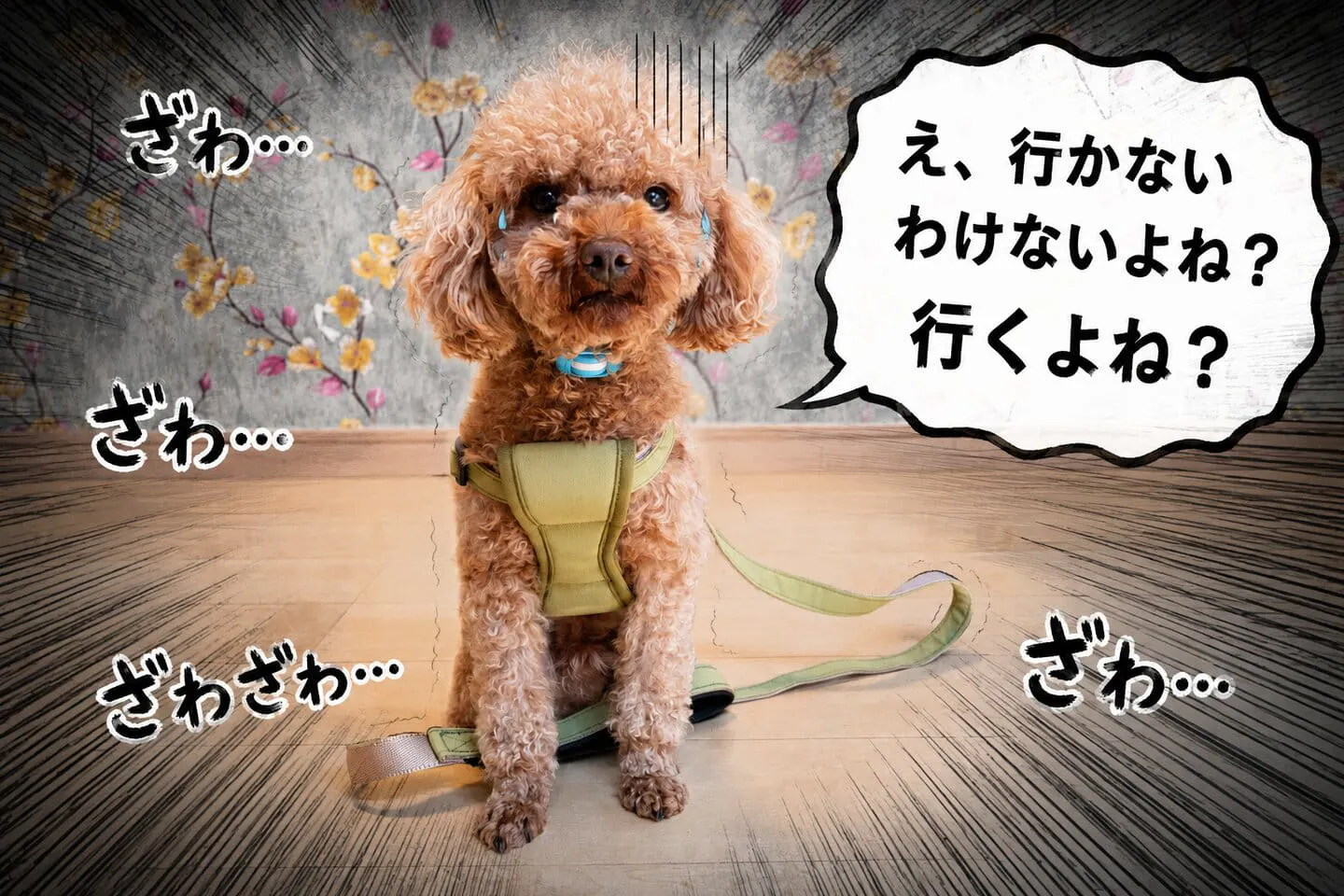 え、行かないわけないよね?行くよね? え、行かないわけないよね?行くよね?