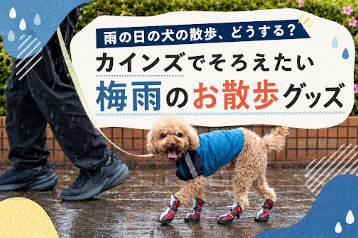 aya（犬グッズ ハンドメイド作家）|ワンクォール