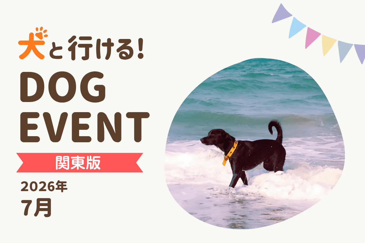 【2026年7月関東版】愛犬と一緒に楽しめるドッグイベント