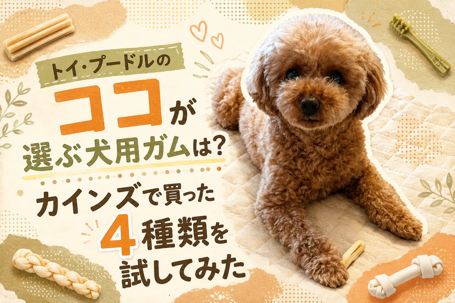 トイ・プードルのココが選ぶ犬用ガムは?カインズで買った4種類を試してみた