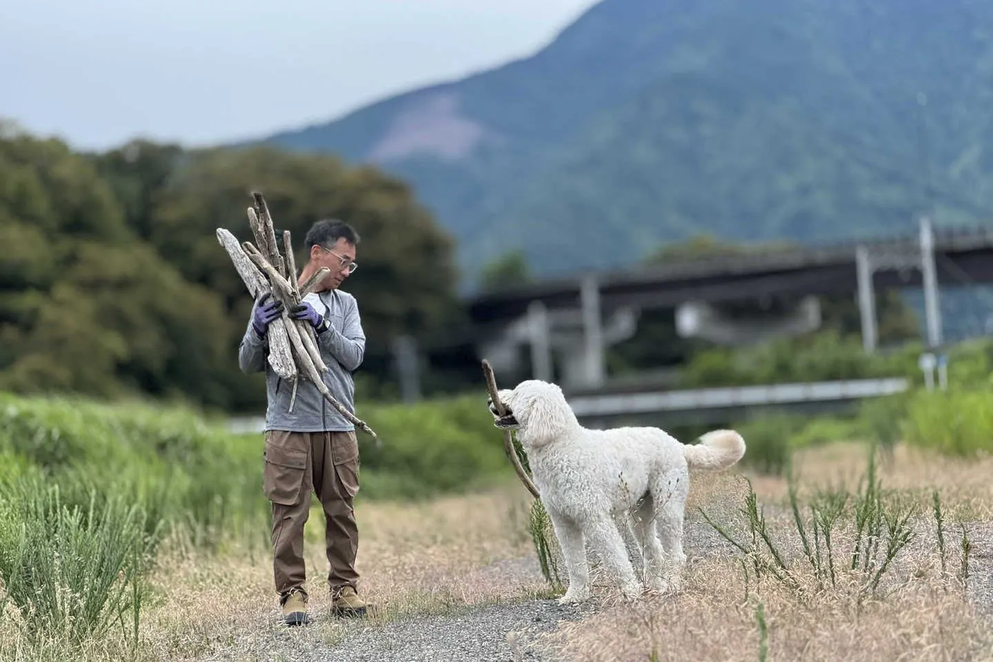 河原で遊ぶ椎名前太さんと愛犬のゴールデンドゥードル・泰楽くん 河原で遊ぶ椎名前太さんと愛犬のゴールデンドゥードル・泰楽くん