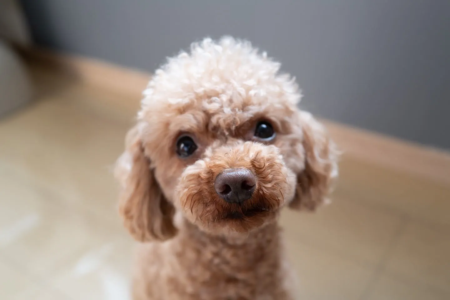 次のお休みはどこへいく？
