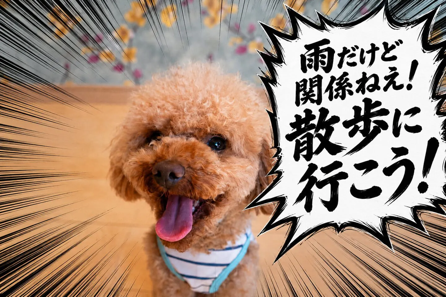 雨だけど関係ねえ!散歩に行こう! 雨だけど関係ねえ!散歩に行こう!