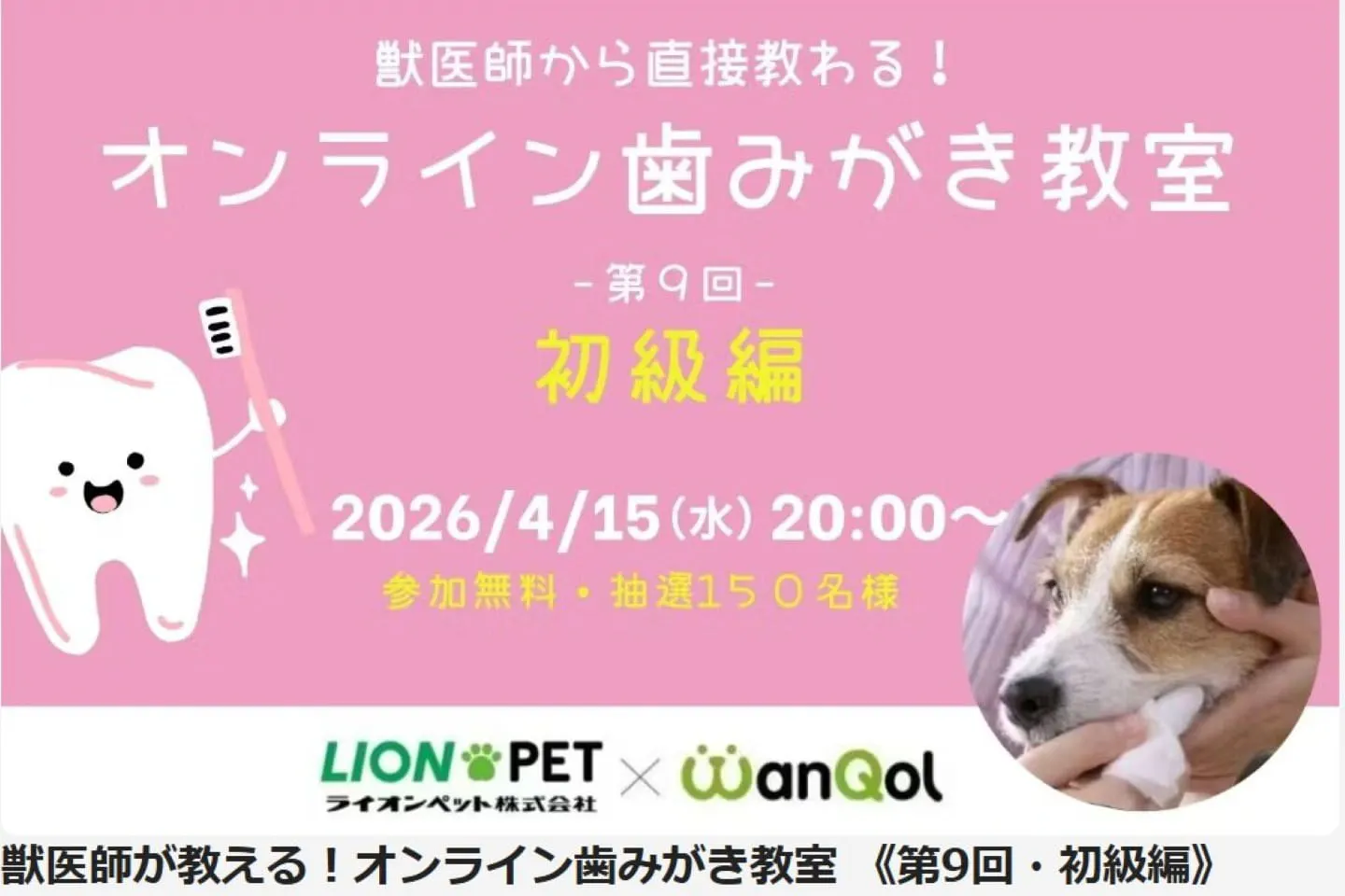 オンライン歯みがき教室(初級編) オンライン歯みがき教室(初級編)