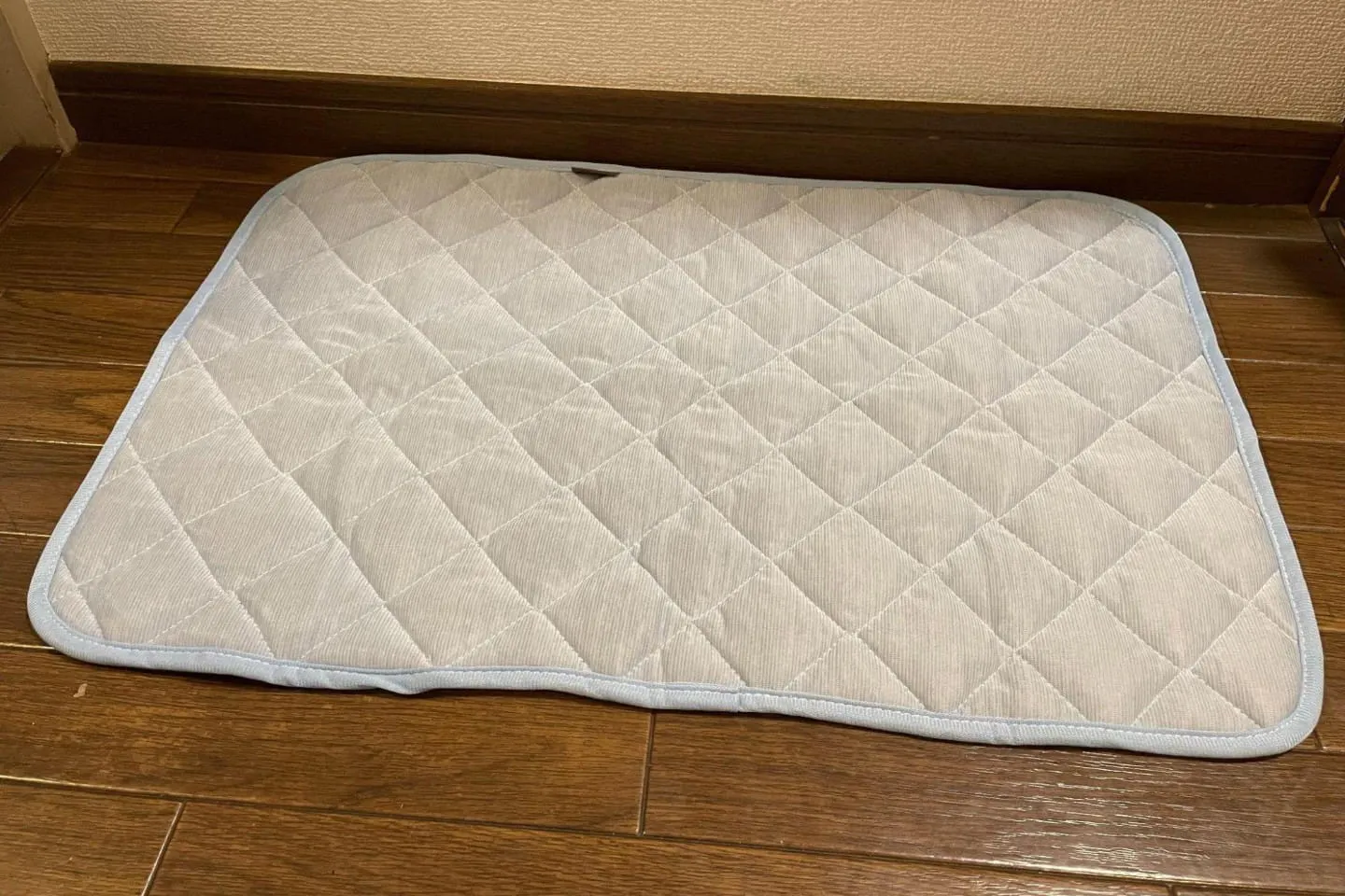 ひんやりペットマット Sサイズ ライトブルー