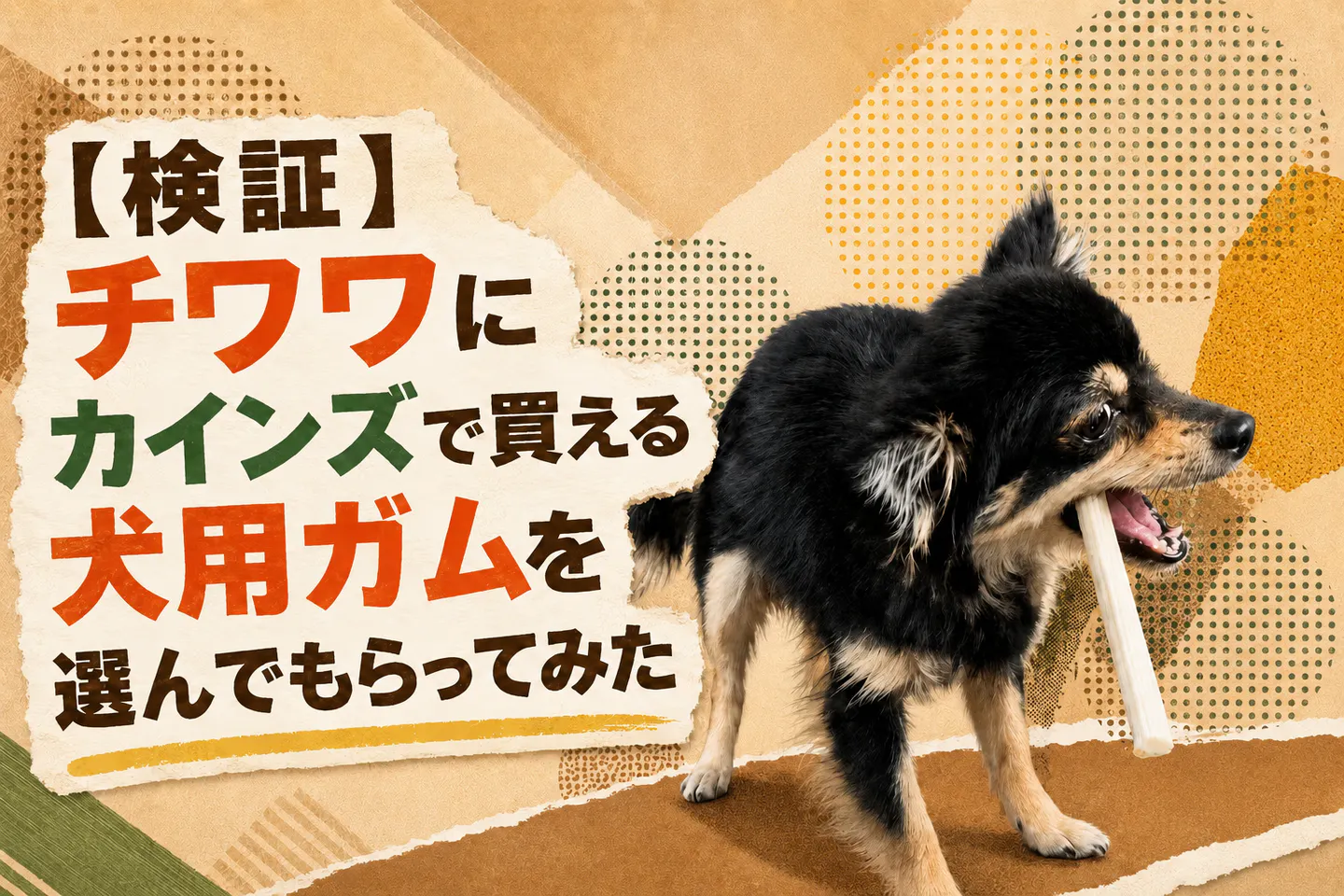 【検証】チワワにカインズで買える犬用ガムを選んでもらってみた