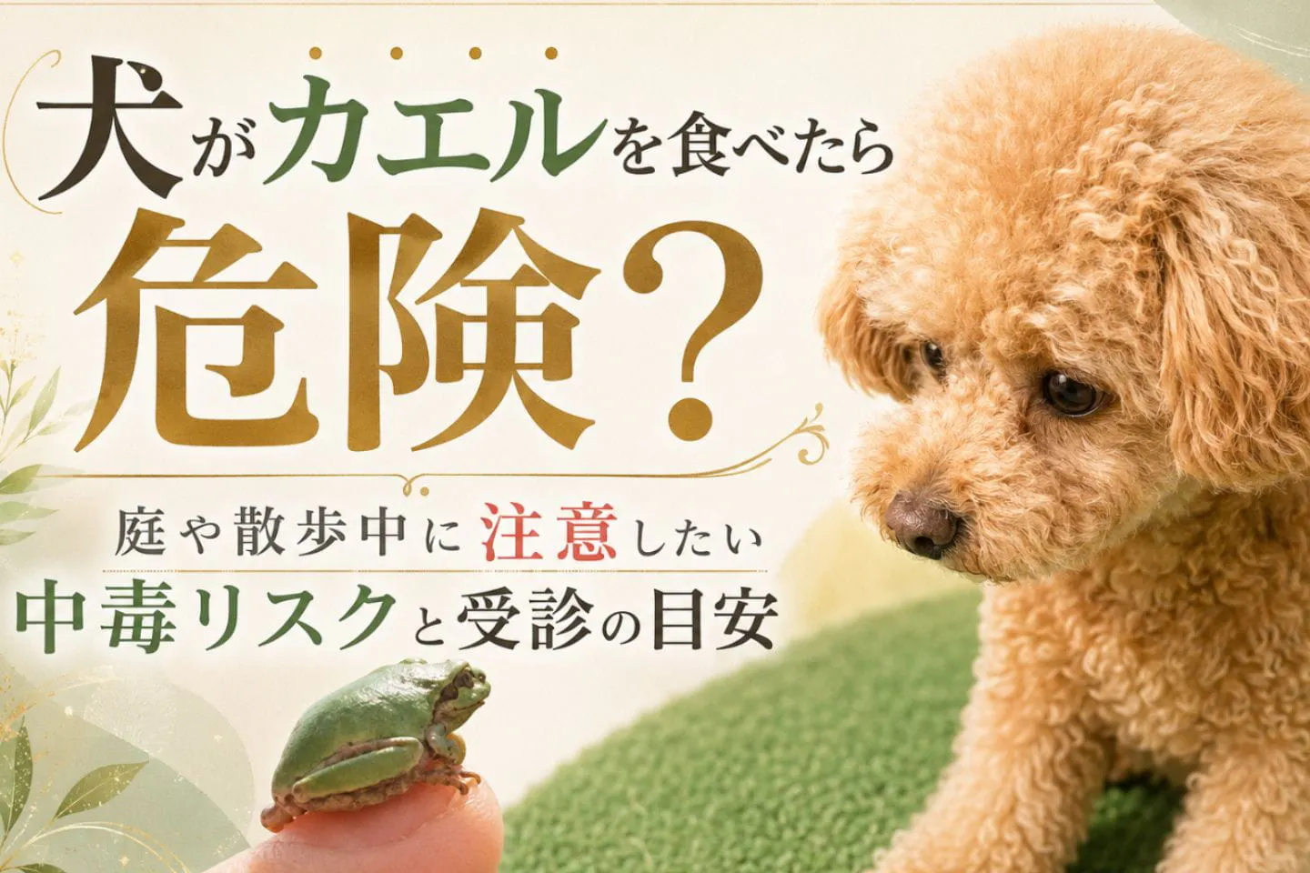 犬がカエルを食べたら危険？ 庭や散歩中に注意したい中毒リスクと受診の目安