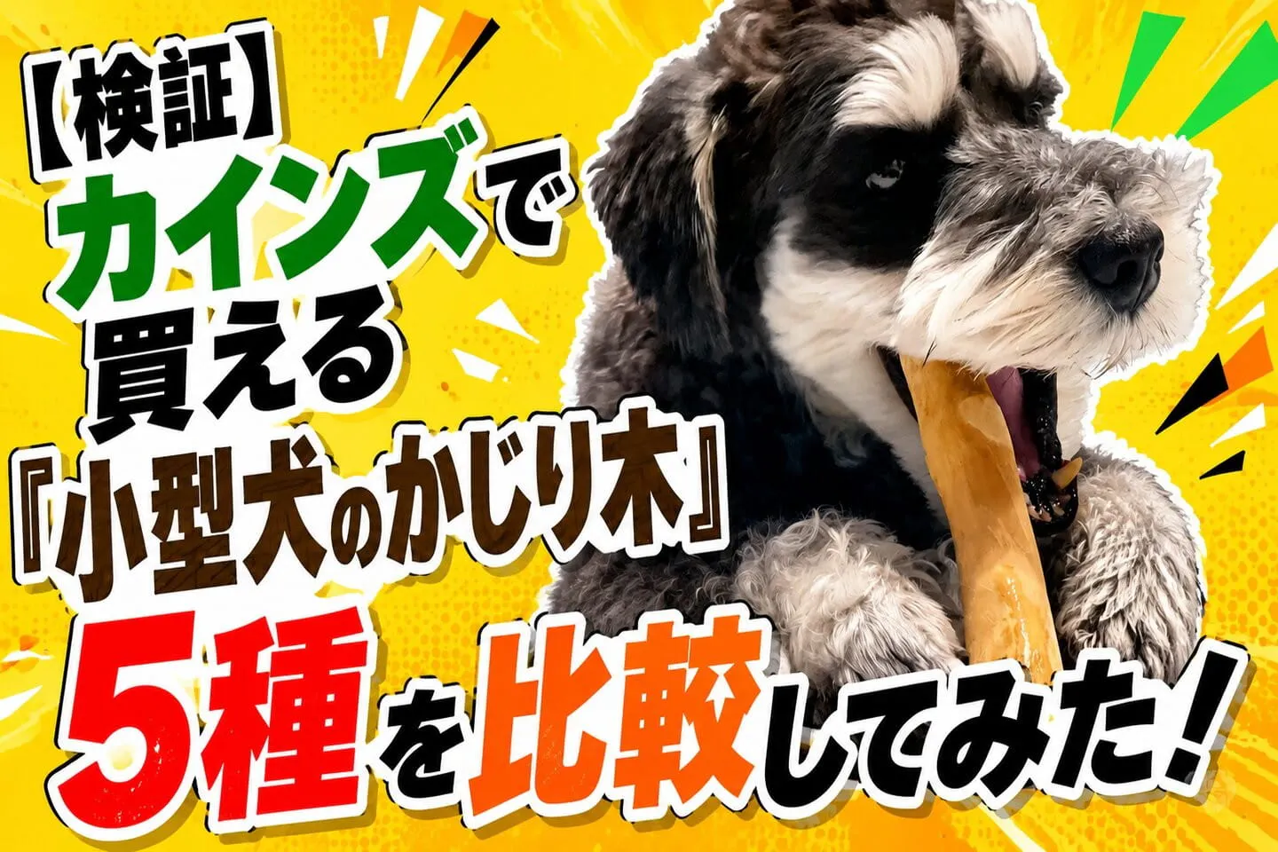 【検証】 カインズで買える「小型犬のかじり木」5種を比較してみた！