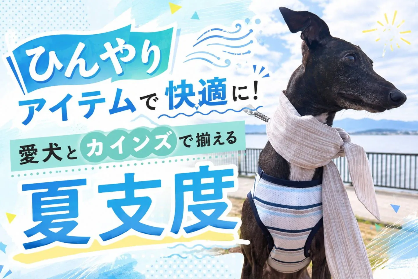 ひんやりアイテムで快適に！愛犬とカインズで揃える夏支度