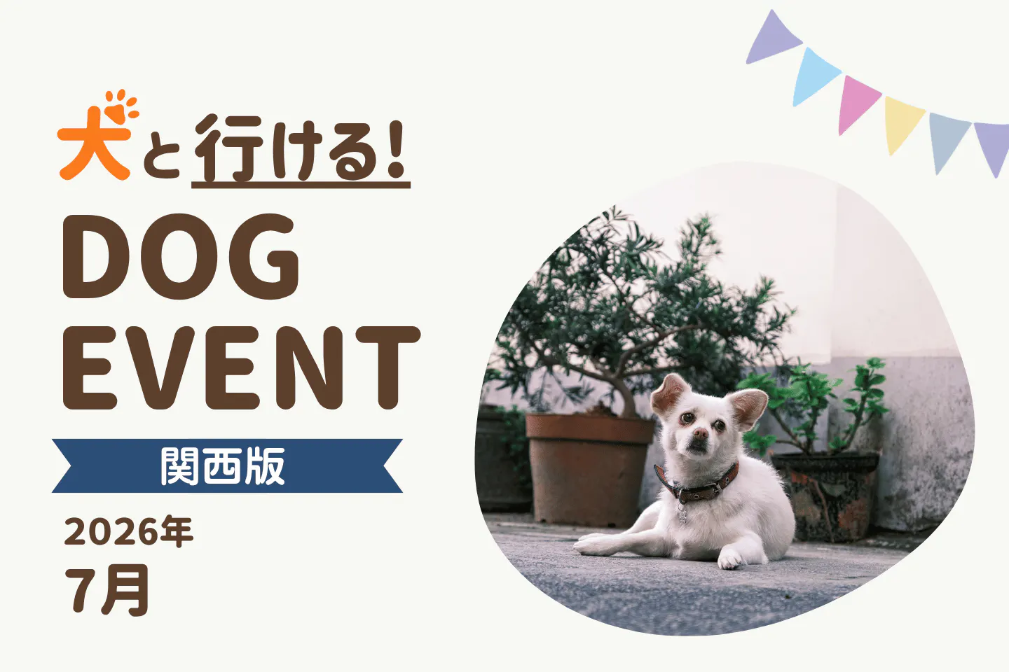【2026年7月関西版】愛犬と一緒に楽しめるドッグイベント