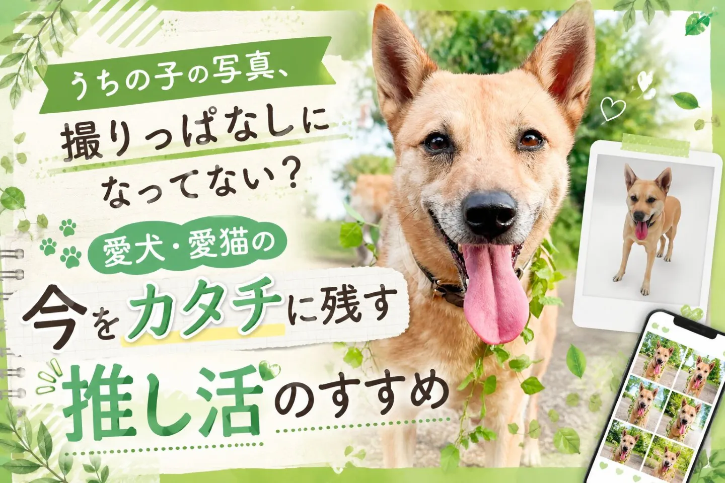 うちの子の写真、撮りっぱなしになってない？ 愛犬・愛猫の今をカタチに残す推し活のすすめ