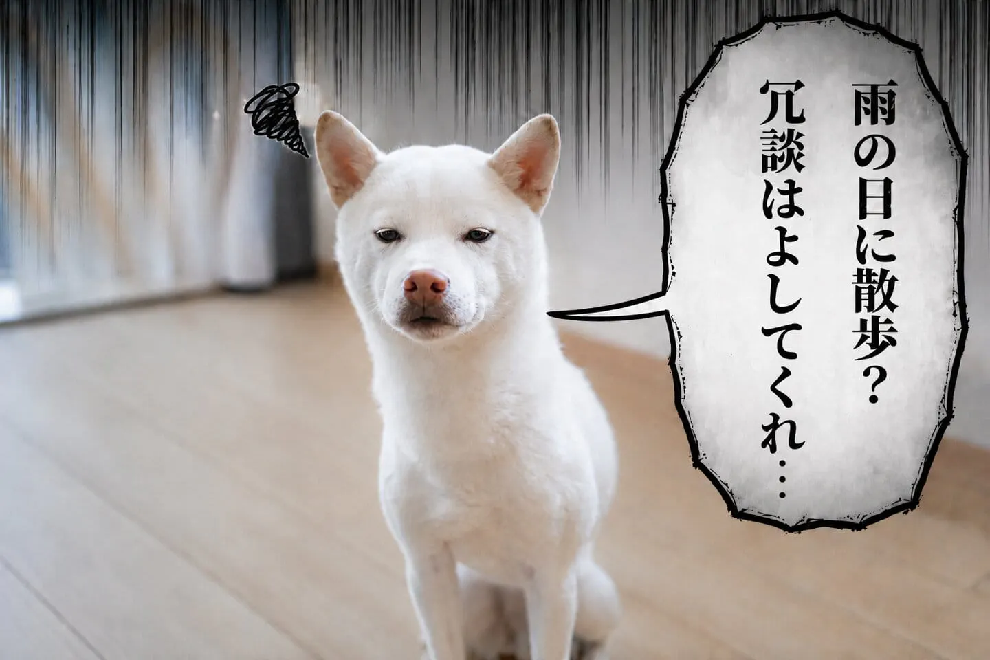 雨の日に散歩?冗談はよしてくれ… 雨の日に散歩?冗談はよしてくれ…