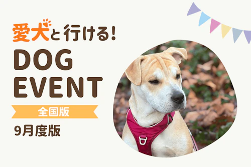 2026年9月】全国の愛犬と一緒に楽しめるドッグイベント|ワンクォール