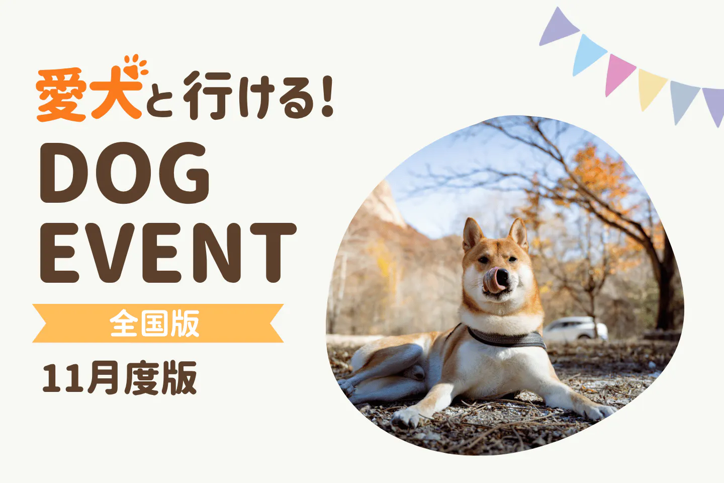【2026年11月】全国の愛犬と一緒に楽しめるドッグイベント