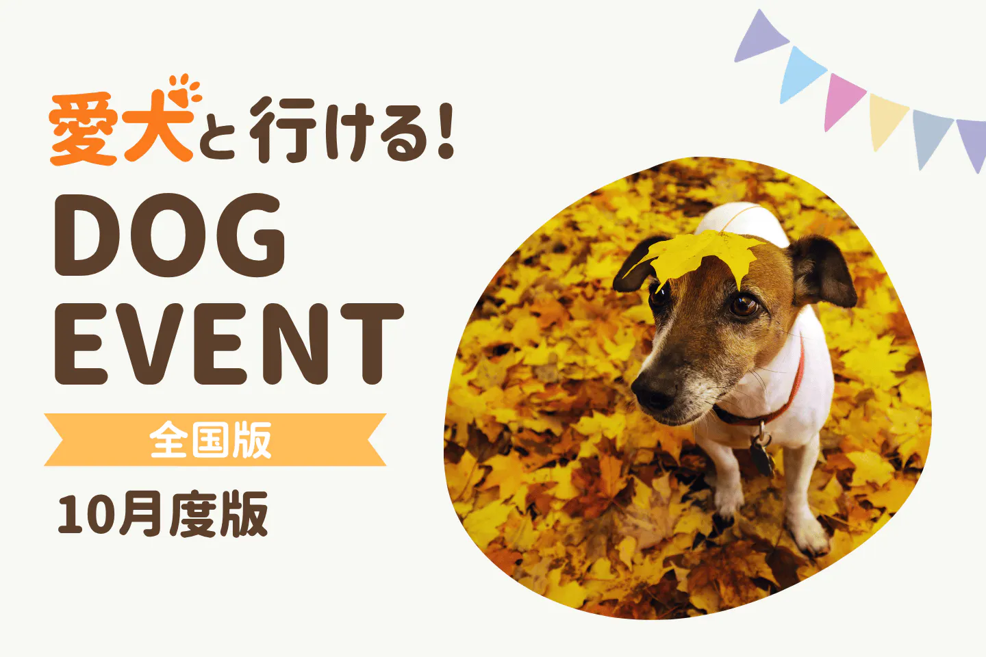【2026年10月】全国の愛犬と一緒に楽しめるドッグイベント