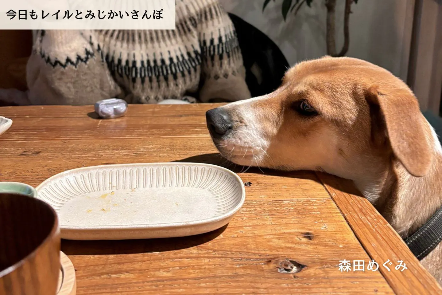 【連載】ウォンカに、スキル”お留守番”を授ける｜森田めぐみ｜今日もレイルとみじかいさんぽ