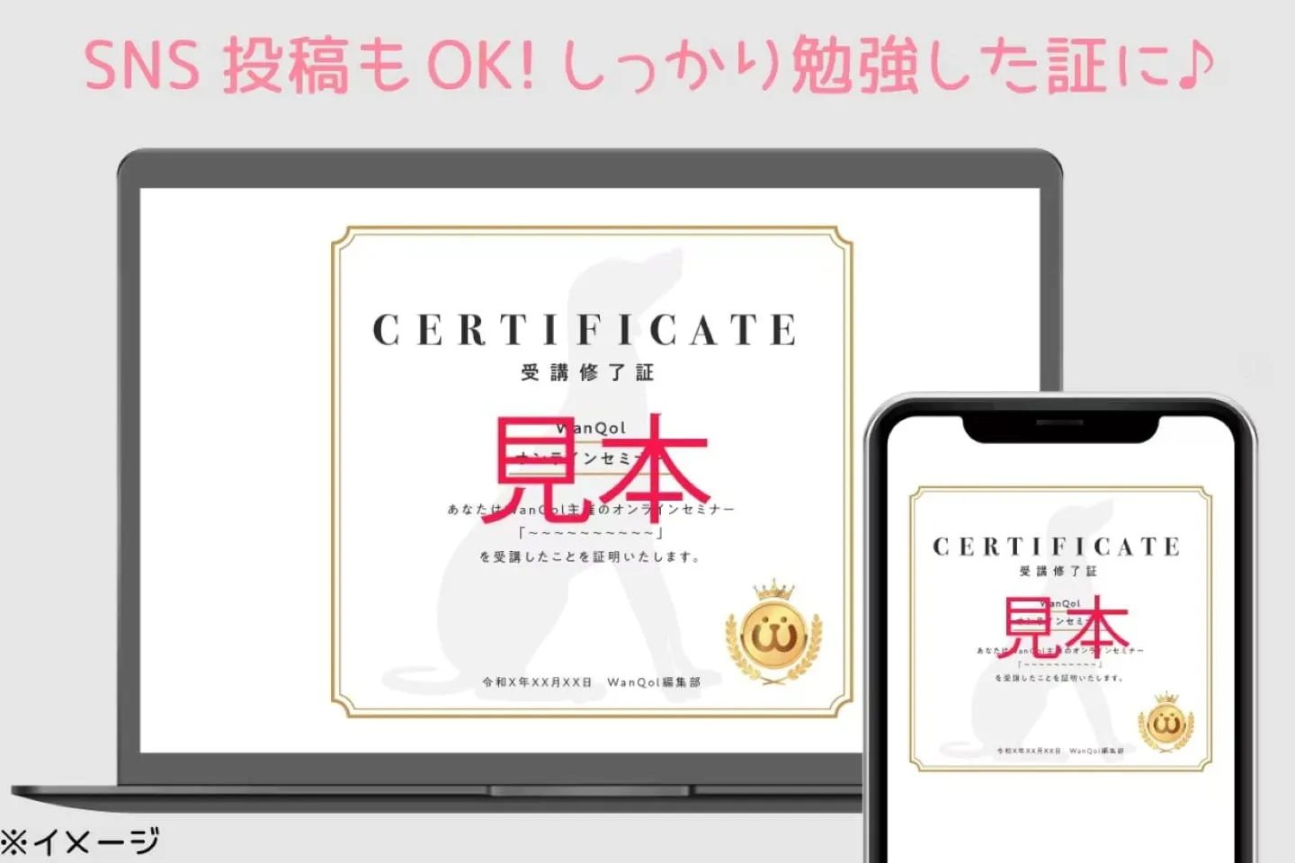 デジタル修了証 デジタル修了証