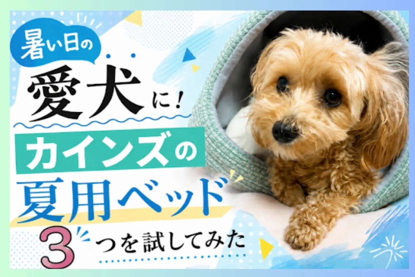 暑い日の愛犬に！カインズの夏用ベッド3つを試してみた