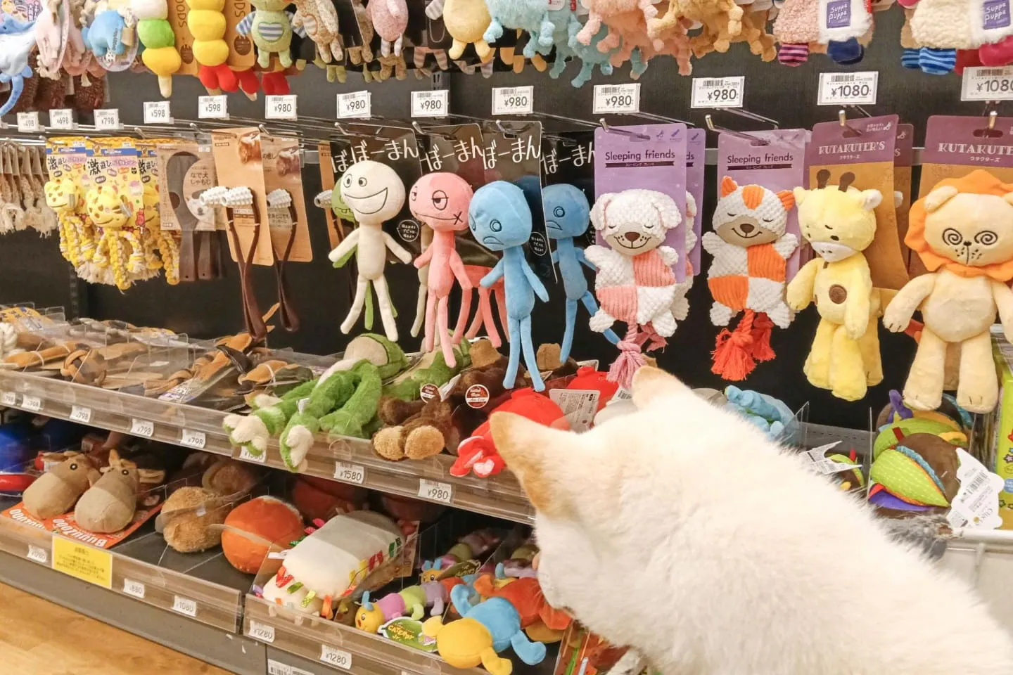 犬のおもちゃ売り場 犬のおもちゃ売り場