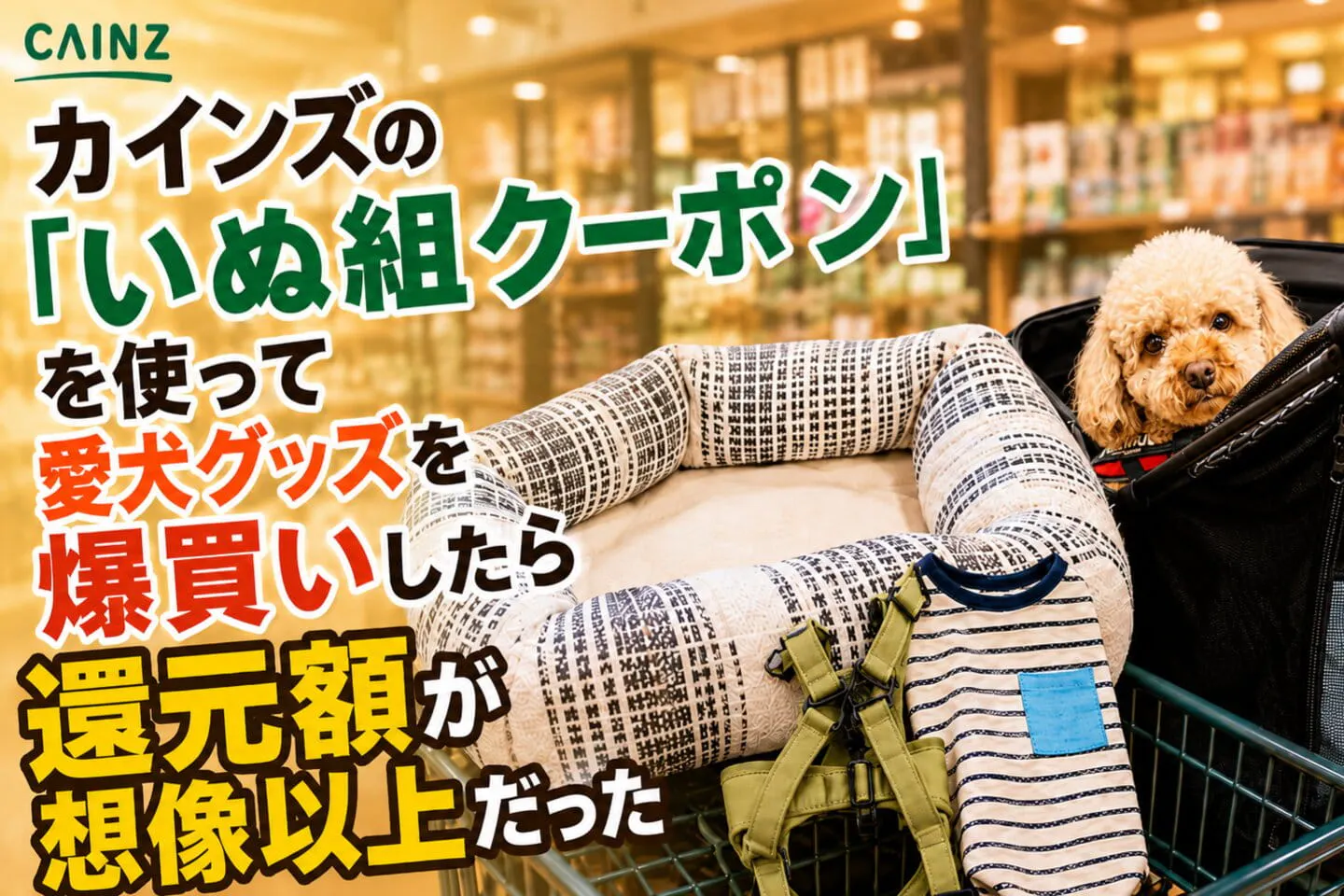 カインズの「いぬ組クーポン」を使って愛犬グッズを爆買いしたら還元額が想像以上だった